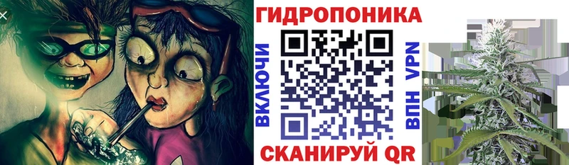 Купить наркотики сайты Сыктывкар Галлюциногенные грибы  APVP  ГАШИШ  КОКАИН 