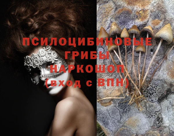 соль ск Сосновый Бор