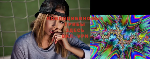 соль ск Сосновый Бор