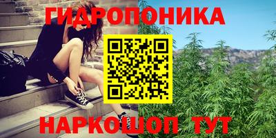 гидра Волжск