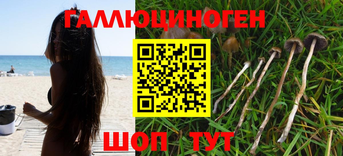 Сыктывкар  Галлюциногенные грибы Magic Shrooms  Вход с VPN 
