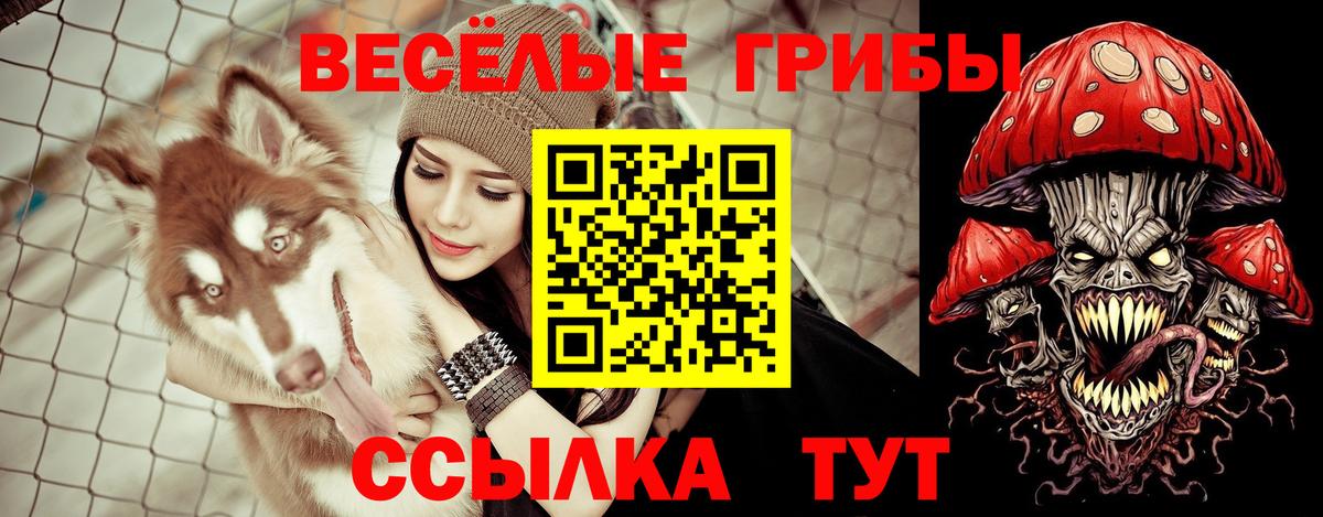 Галлюциногенные грибы прущие грибы Сыктывкар